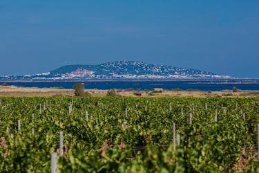 Tour de cata de vinos en grupos pequeños desde Sète